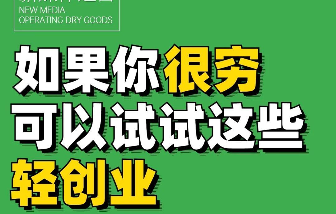 蓝海掘金启示录：月入20万的宠物手作商业密码